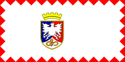 [Former flag of Postojna]