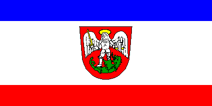 [Former flag of Radlje ob Dravi]