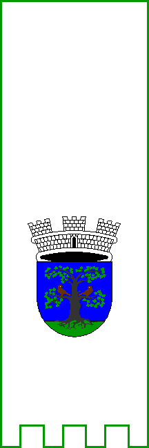 [Flag of Sevnica]