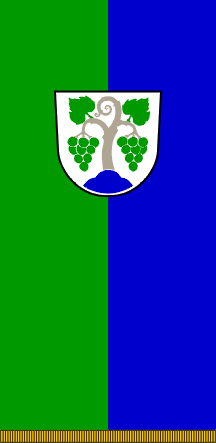 [Flag of Vipava]