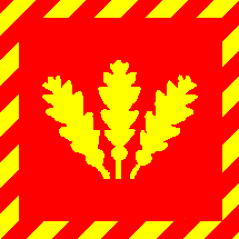 [Nová Dubnica mayor's flag]