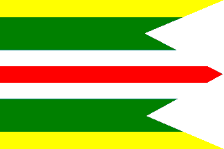 [Sarkan municipality flag]