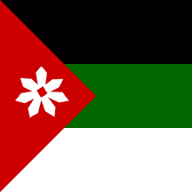 [Flag Captured 1920 (Kingdom of Syria)]