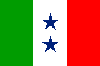 [The Texas-Coahuila Militia Flag]