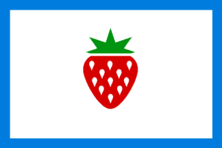 [flag of Mississippi County, Arkansas]