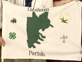 [Flag of Catahoula Parish, Louisiana]