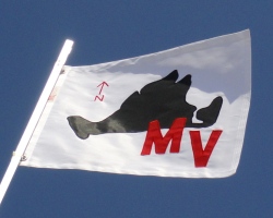[A Flag of Martha's Vineyard]