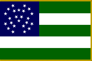[NYC Police Department flag]