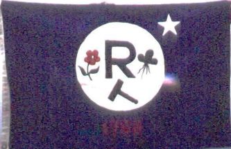 [Flag of Ravenna, Ohio]