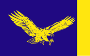 [Tennessee Technical University Flag]
