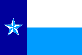 [Flag of Dallas County, Texas]