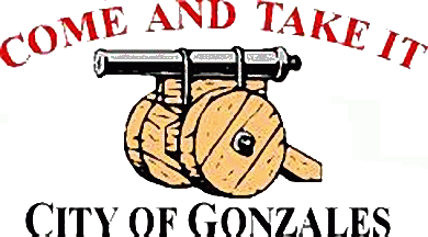 [Flag of Gonzales, Texas]