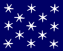 [Flag of General Washington]