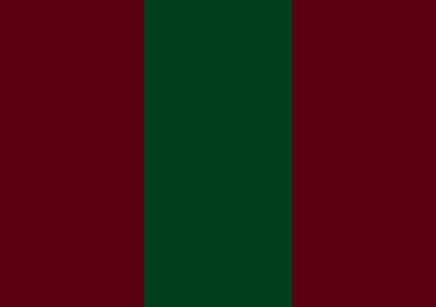 [U.S. fraternity flag - Phi Sigma Psi]