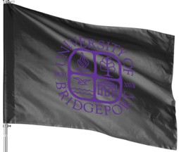[supporters flag]