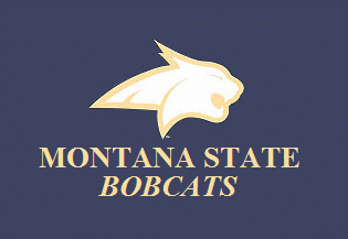 [Flag of Montana State University]