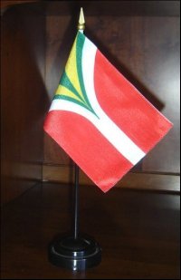 [CISV convention 6 flag]