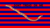 Rattlesnake flag