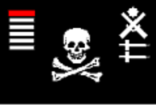 [Jolly Roger flag]