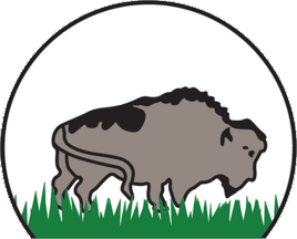[Buffalo River Dene Nation, Saskatchewan flag]