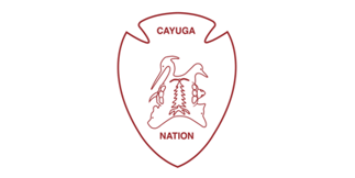 [Cayuga Nation, New York flag]