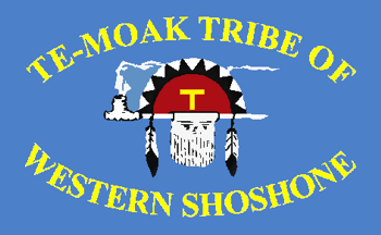 [Te-Moak Tribe of Western Shoshone, Nevada flag]