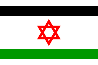 [Composite Flag from Unidentified Illustration (Israel-Palestine)]