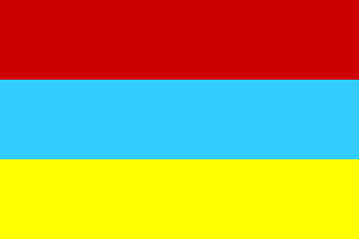 [Taiz Separatist Flag]